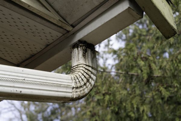 Roof Drain Replacement in Troy