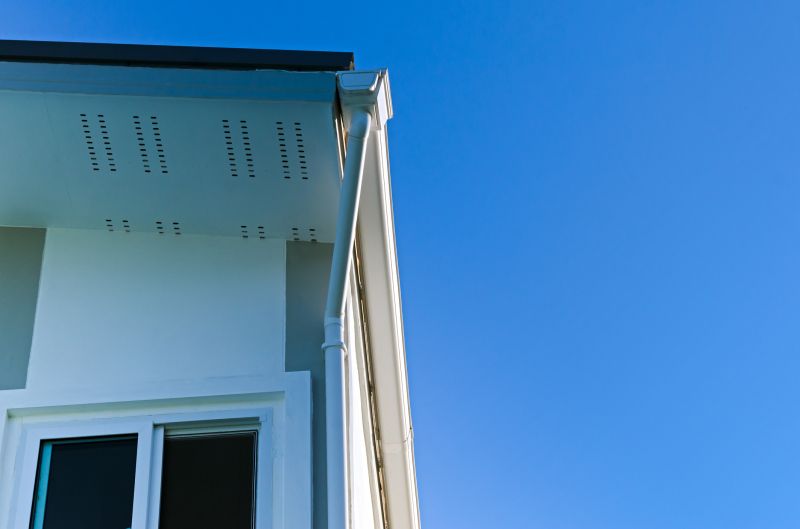 Gutter Replacement detail