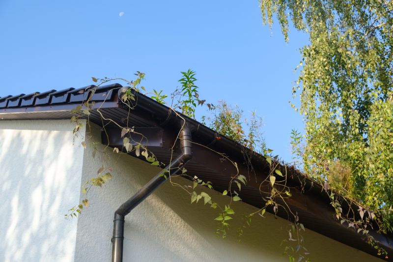 Warehouse Gutter Installation detail